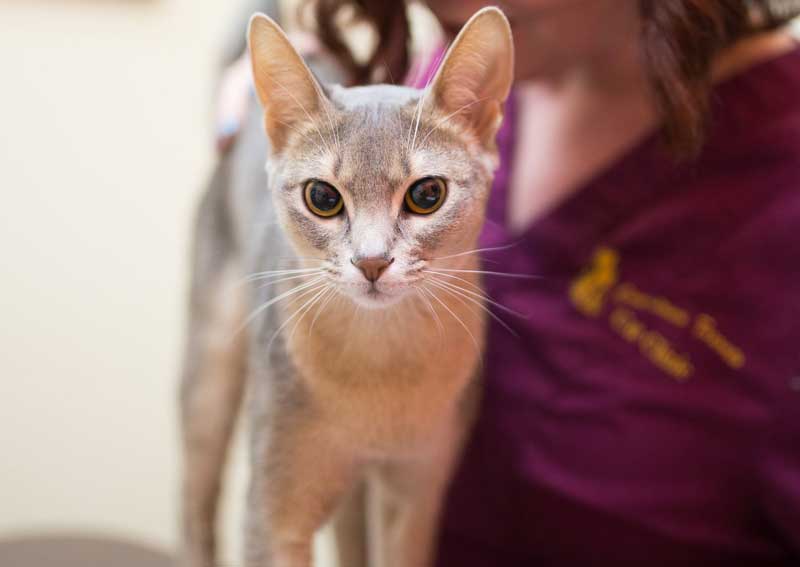 Carousel Slide 2: Learn more about us